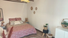 À vendre   Charmant F2 entièrement rénové à Thonon-les-Bains 4
