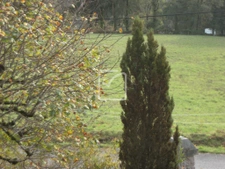 Belle maison en pierres couverte en ardoises sur terrain de  2