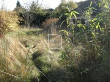 Maison plain pieds sur terrain de 1025m2 clos 22