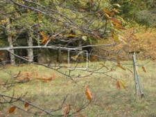 Belle maison en pierres couverte en ardoises sur terrain de  5