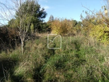 Maison plain pieds sur terrain de 1025m2 clos 23