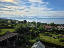 Chalet de 130m2 au calme vue Lac et piscine à Lugrin 11
