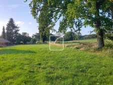 TERRAIN DE 2 771 M2 A FETERNES 3