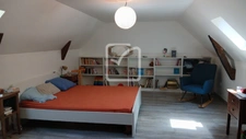 Maison en pierre avec dépendances et jardin 5