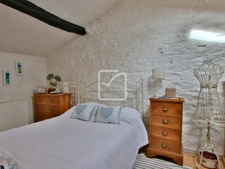 PROPRIETE AVEC 2 GITES INDEPENDANTS ET PISCINE 17