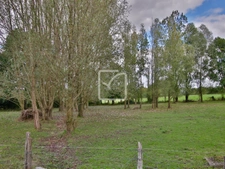 CORPS DE FERME SUR PLUS D'UN HECTARE DE TERRAIN 7