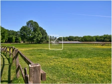 DEUX-SÈVRES  - DOMAINE UNIQUE DE 84 HECTARES - BOIS, ETANG,  19
