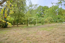 Fermette sur plus d'un hectare de terrain  4