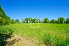 FERMETTE 3 CHAMBRES SUR 1 HECTARE DE TERRAIN 27