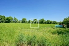 FERMETTE 3 CHAMBRES SUR 1 HECTARE DE TERRAIN 6