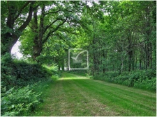 DEUX-SÈVRES  - DOMAINE UNIQUE DE 84 HECTARES - BOIS, ETANG,  16
