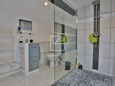 PROPRIETE AVEC 2 GITES INDEPENDANTS ET PISCINE 28