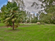 CORPS DE FERME SUR PLUS D'UN HECTARE DE TERRAIN 6