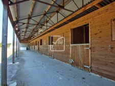 PROPRIETE EQUESTRE PROCHE PARTHENAY 26