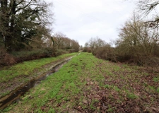 Domaine de chasse / forestier de 45 Hectares.