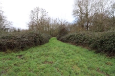 Domaine de chasse / forestier de 45 Hectares.