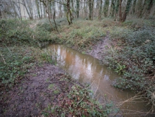 Domaine de chasse / forestier de 45 Hectares.