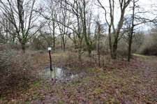 Domaine de chasse / forestier de 45 Hectares.