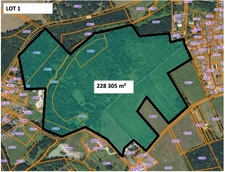 Domaine de chasse / forestier de 45 Hectares.