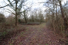 Domaine de chasse / forestier de 45 Hectares.