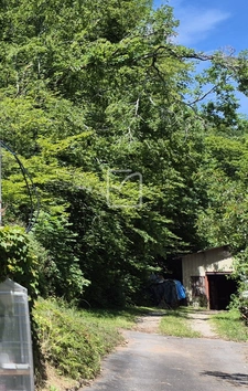 HAUTEURS DE MALEMORT, PROPRIETE DE CARACTERE SUR 9 000 M2, P 6