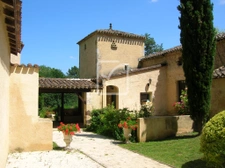 DOMAINE PERIGOURDIN DANS UNE FORET 3