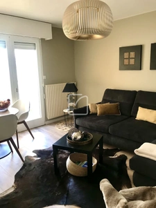 CENTRE VILLE : TRES BEL  APPARTEMENT T2 REFAIT A NEUF  5