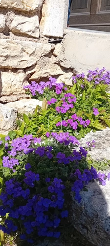 MAISON FAMILIALE au calme à 25 mn SUD DE BRIVE ! 7