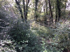 terrain constructible 1418m2 3