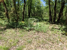 Parcelle de 2560 m2 en partie constructible 1