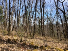 parcelle de 10310 m2 1