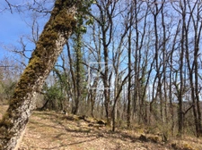 parcelle de 10310 m2 2