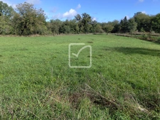 Terrain en partie constructible, dans un environnement paisi 2