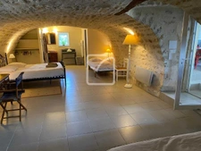 MAGNIFIQUE PROPRIETE EN PIERRE AVEC ACTIVITE TOURISTIQUE SUR 16