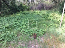 terrain constructible 1418m2 1