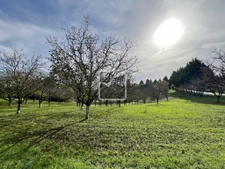 Terrain à bâtir sur les hauteurs  4