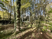 Maison en pierre de 190 m2 et dépendances 14