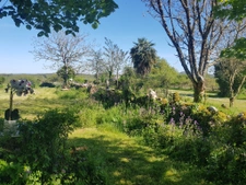 Corps de ferme authentique sur plus de 12 hectares de terrai 7