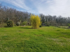 Corps de ferme authentique sur plus de 12 hectares de terrai 8