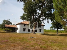 PROPRIÉTÉ LANDAISE SUR 6 HECTARES 10