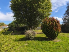 BISCARROSSE BOURG: MAISON ANCIENNE PROCHE CENTRE VILLE  14