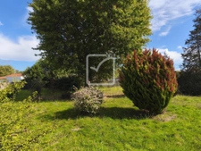 Biscarrosse Bourg   Charme et authenticité pour cette maison 3