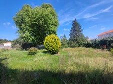 BISCARROSSE BOURG: MAISON ANCIENNE PROCHE CENTRE VILLE  13
