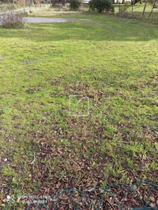 BISCARROSSE  - BEAU TERRAIN CONSTRUCTIBLE de 455 m2  1