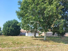 BISCARROSSE BOURG - TERRAIN 841 m2 AVEC DOUBLE GARAGE 2
