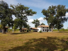 PROPRIÉTÉ LANDAISE SUR 6 HECTARES 1