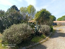 BISCARROSSE - MAISON CONTEMPORAINE DE TYPE T4 - SUR UN TERRA 6