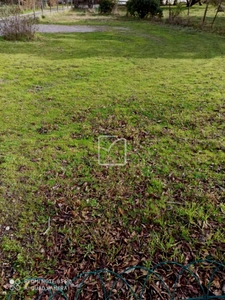 BISCARROSSE CENTRE - Terrain constructible de 413m2  1