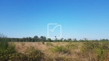 TERRAINS CONSTRUCTIBLES - PARENTIS EN BORN 40200 1