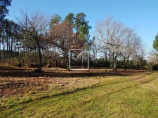 TERRAIN CONSTRUCTIBLE 542 m2 BISCARROSSE BOURG 1